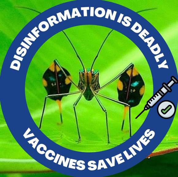 Meet your Posher, Abby - Picture 1 of 1